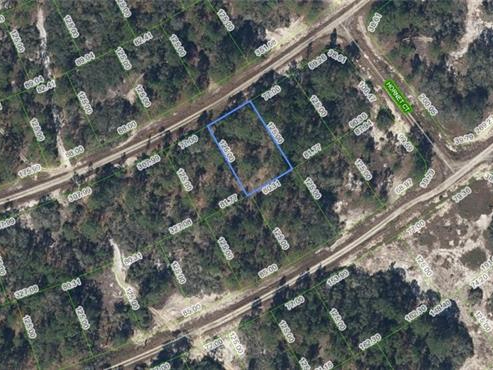 387 Showboat Avenue, Lake Placid, Florida 33852