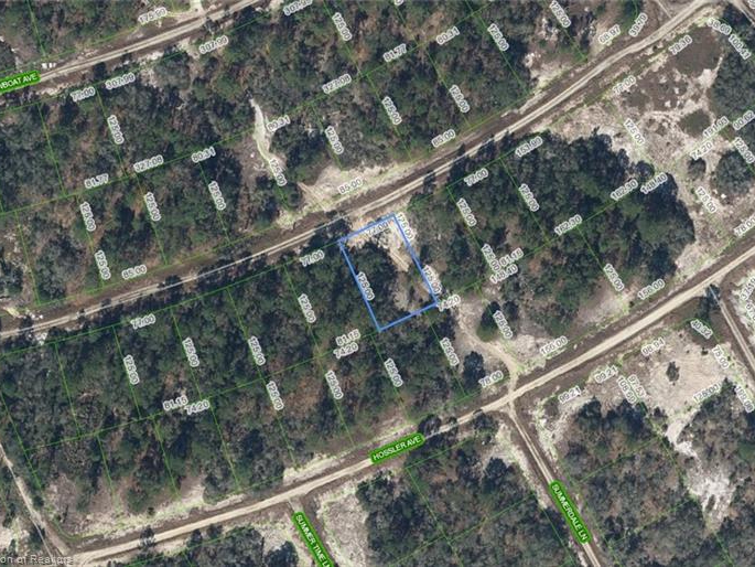 393 Stardust Avenue, Lake Placid, Florida 33852
