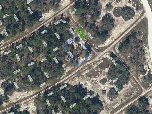408 Hornet Court, Lake Placid, Florida 33852