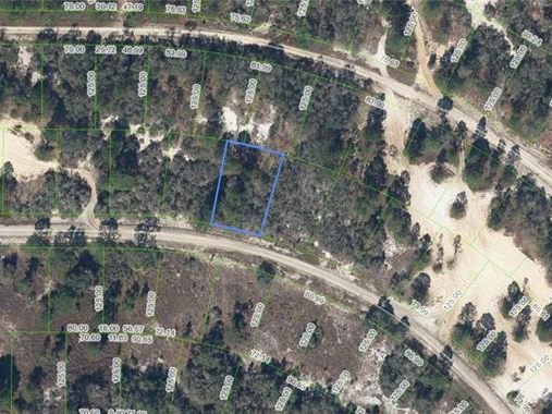 408 Sunshine Avenue, Lake Placid, Florida 33852