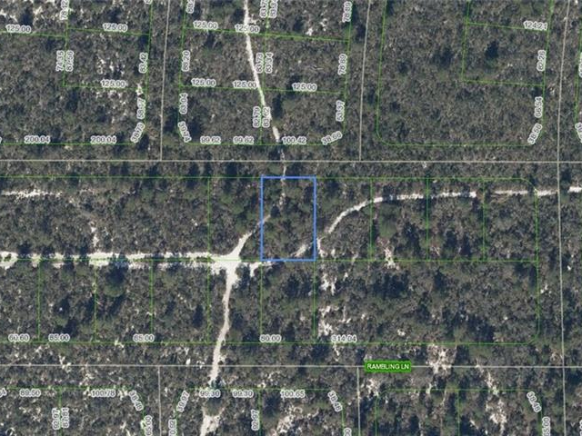437 Souvenir Lane, Lake Placid, Florida 33852