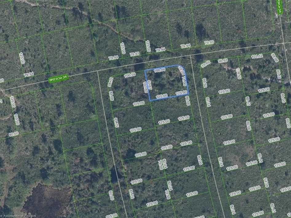 4739 Obispo Avenue, Sebring, Florida 33872
