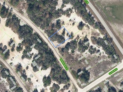 488 Morningside Drive, Lake Placid, Florida 33852