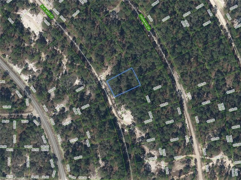 497 Blue Skies Drive, Lake Placid, Florida 33852