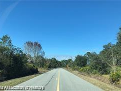 505 Hallmark Avenue, Lake Placid, Florida 33852