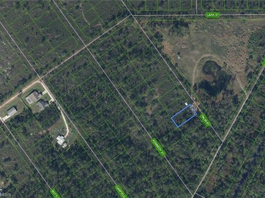 546 Palm Street, Lake Placid, Florida 33852