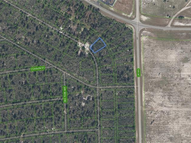 556 Ebbtide Avenue, Lake Placid, Florida 33852