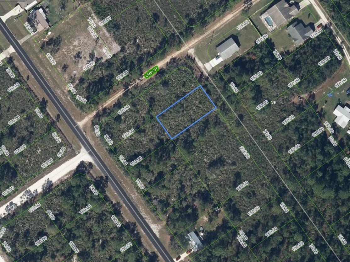 570 Bottlebrush Avenue, Lake Placid, Florida 33852