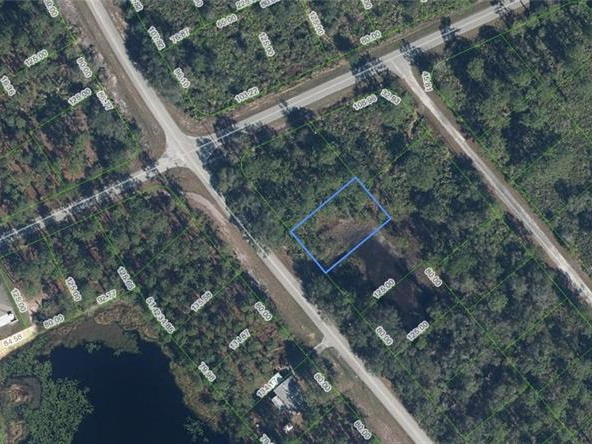 615 Wildflower Street, Lake Placid, Florida 33852
