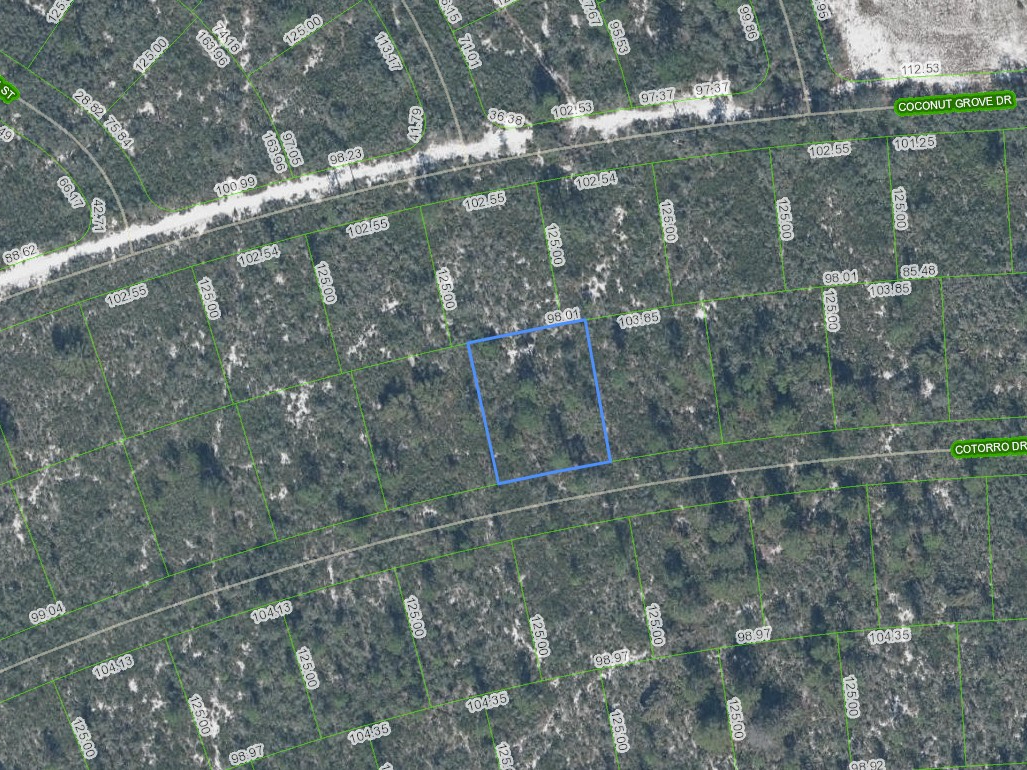 6456 Cotorro Drive, Sebring, Florida 33872