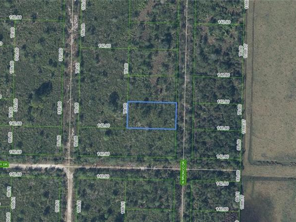 709 N Bronco Drive, Lorida, Florida 33857