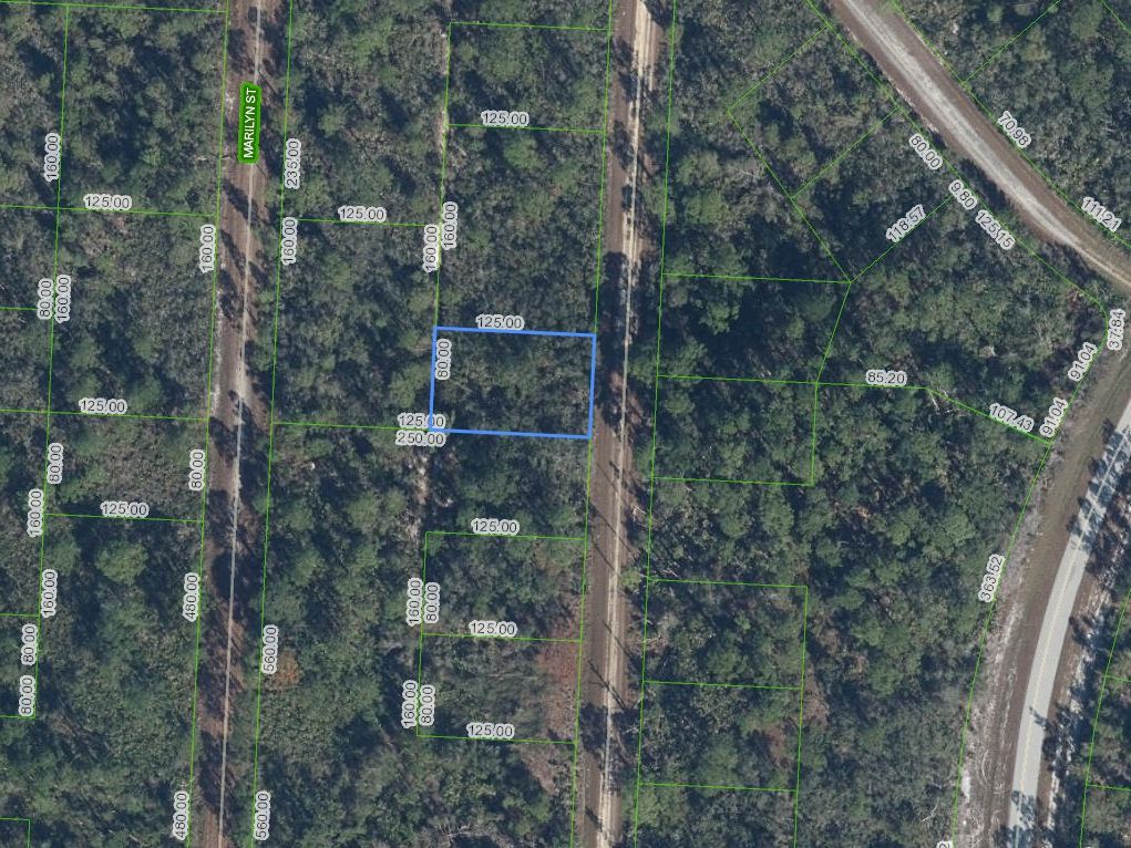 718 Neale Street, Lake Placid, Florida 33852