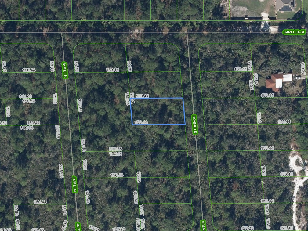 722 Ronnie Lane, Lake Placid, Florida 33852