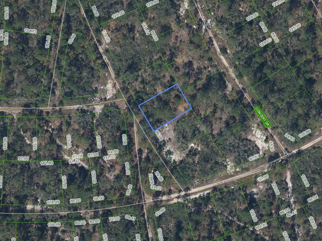 379 Blue Horizon Drive, Lake Placid, Florida 33852