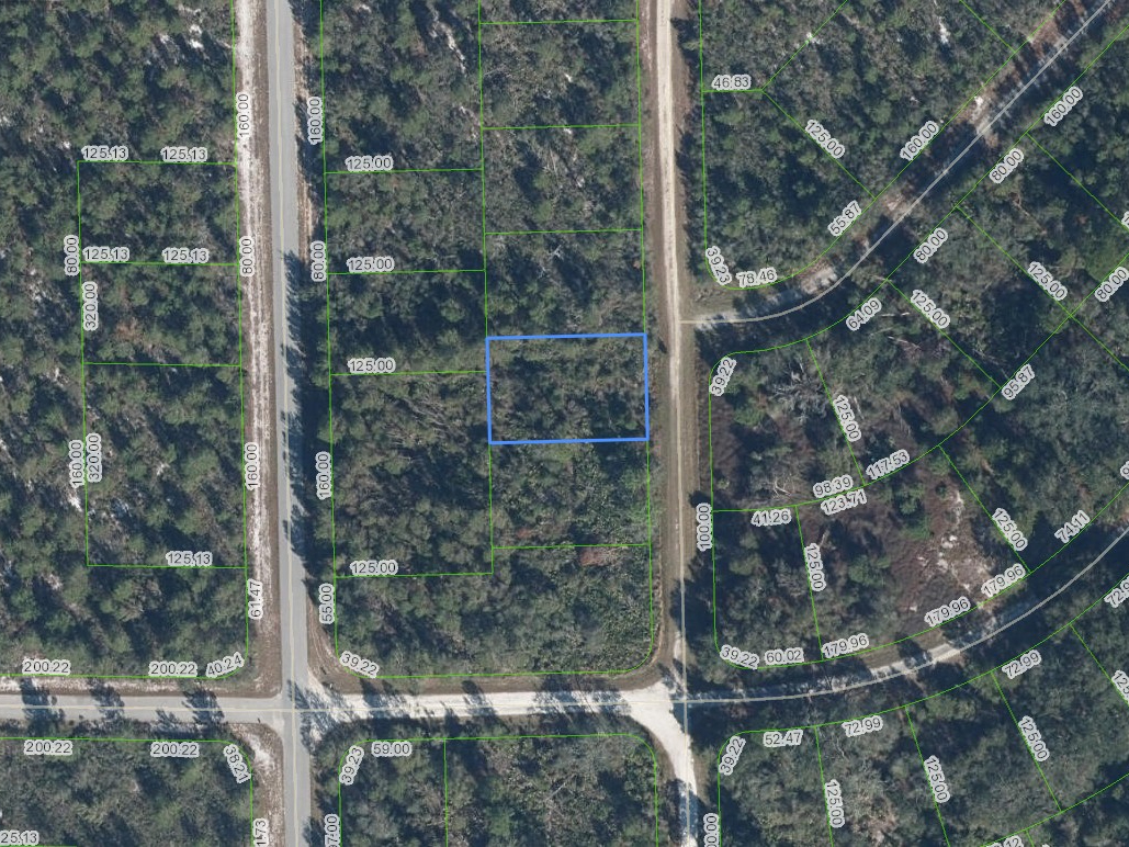 3292 Gossamer Avenue, Lake Placid, Florida 33852