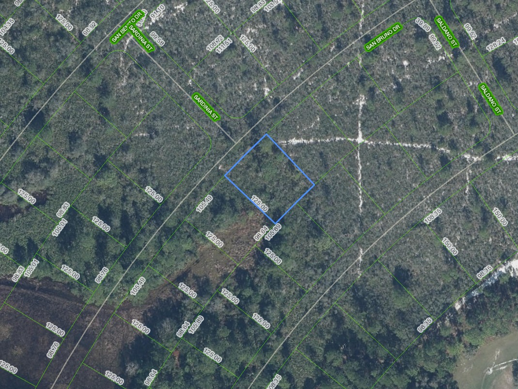 6579 San Bruno Drive, Sebring, Florida 33872